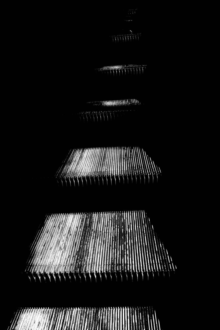 Frame 006