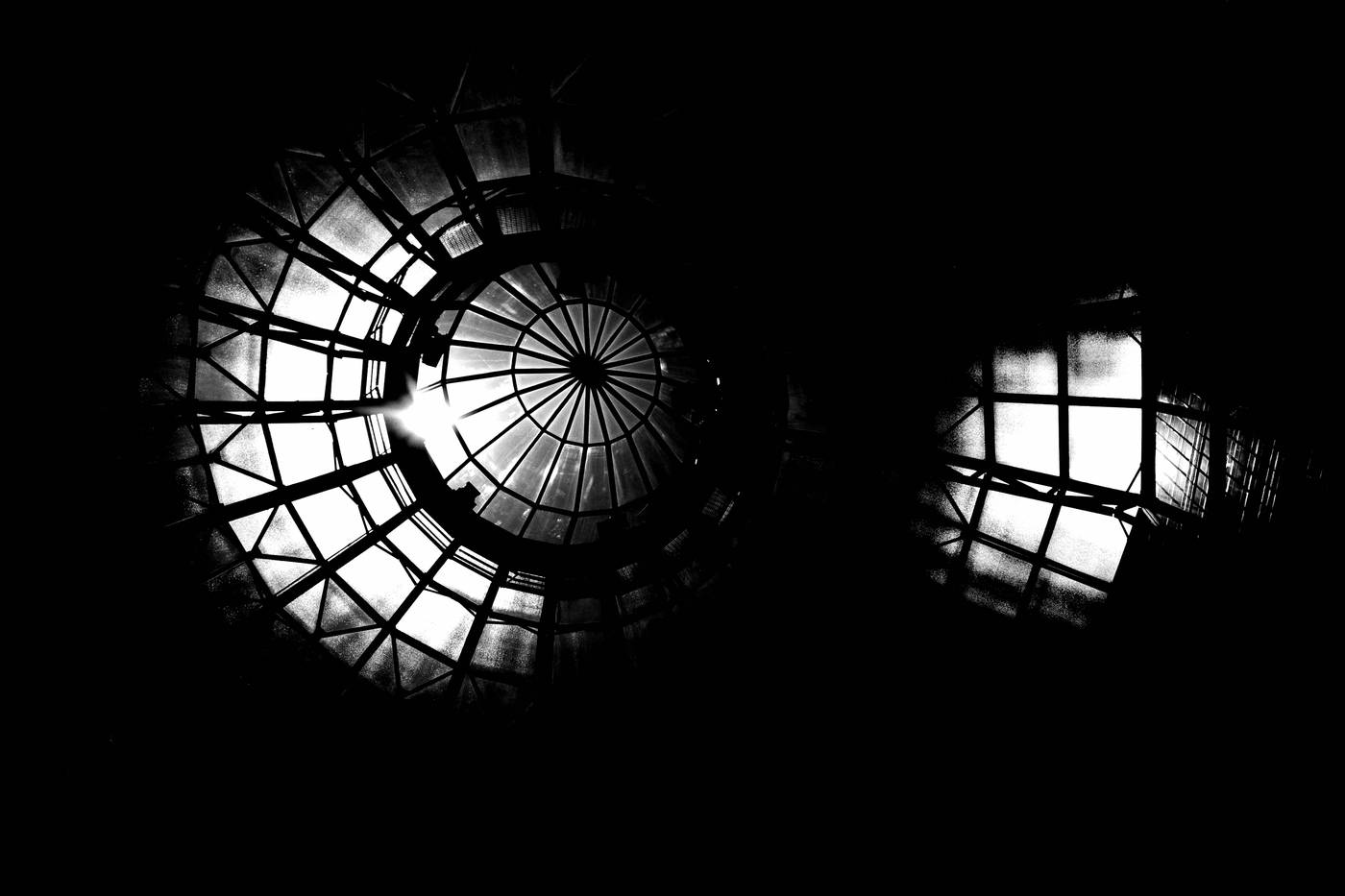 Frame 035