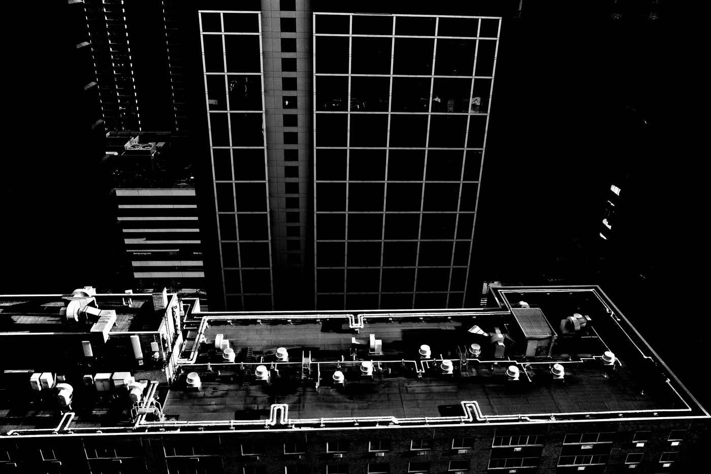Frame 021
