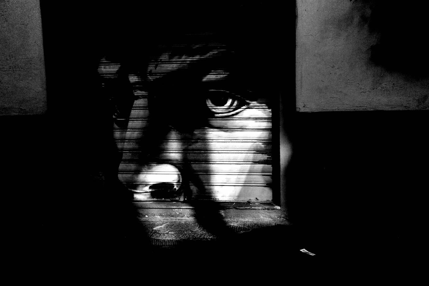 Frame 031