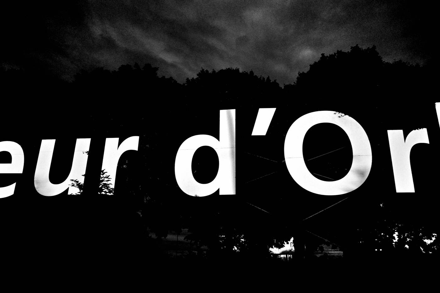 Frame 008