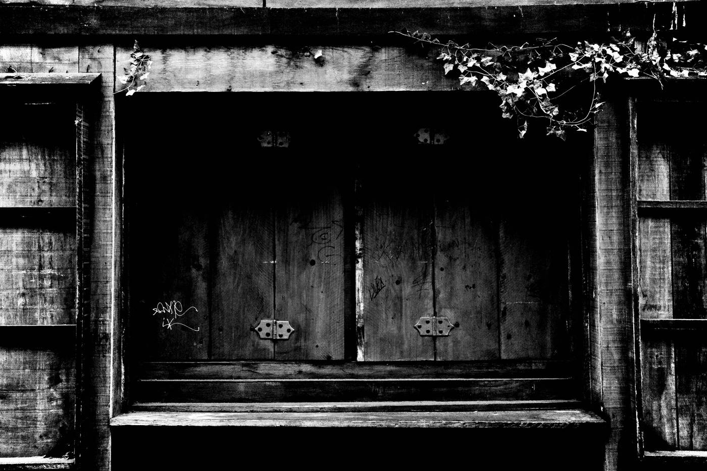 Frame 018