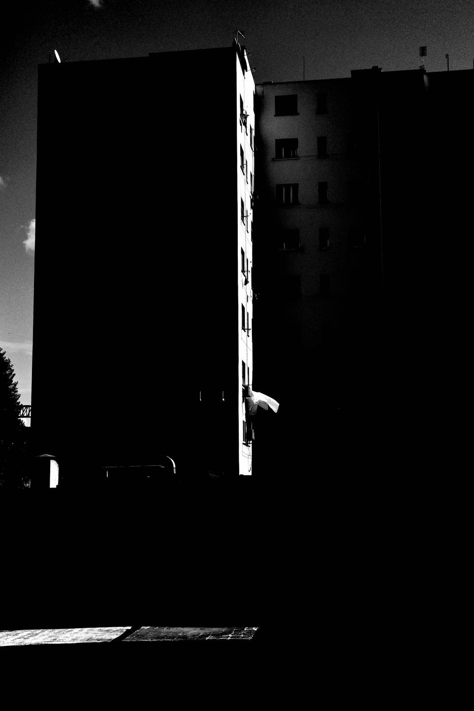Frame 048