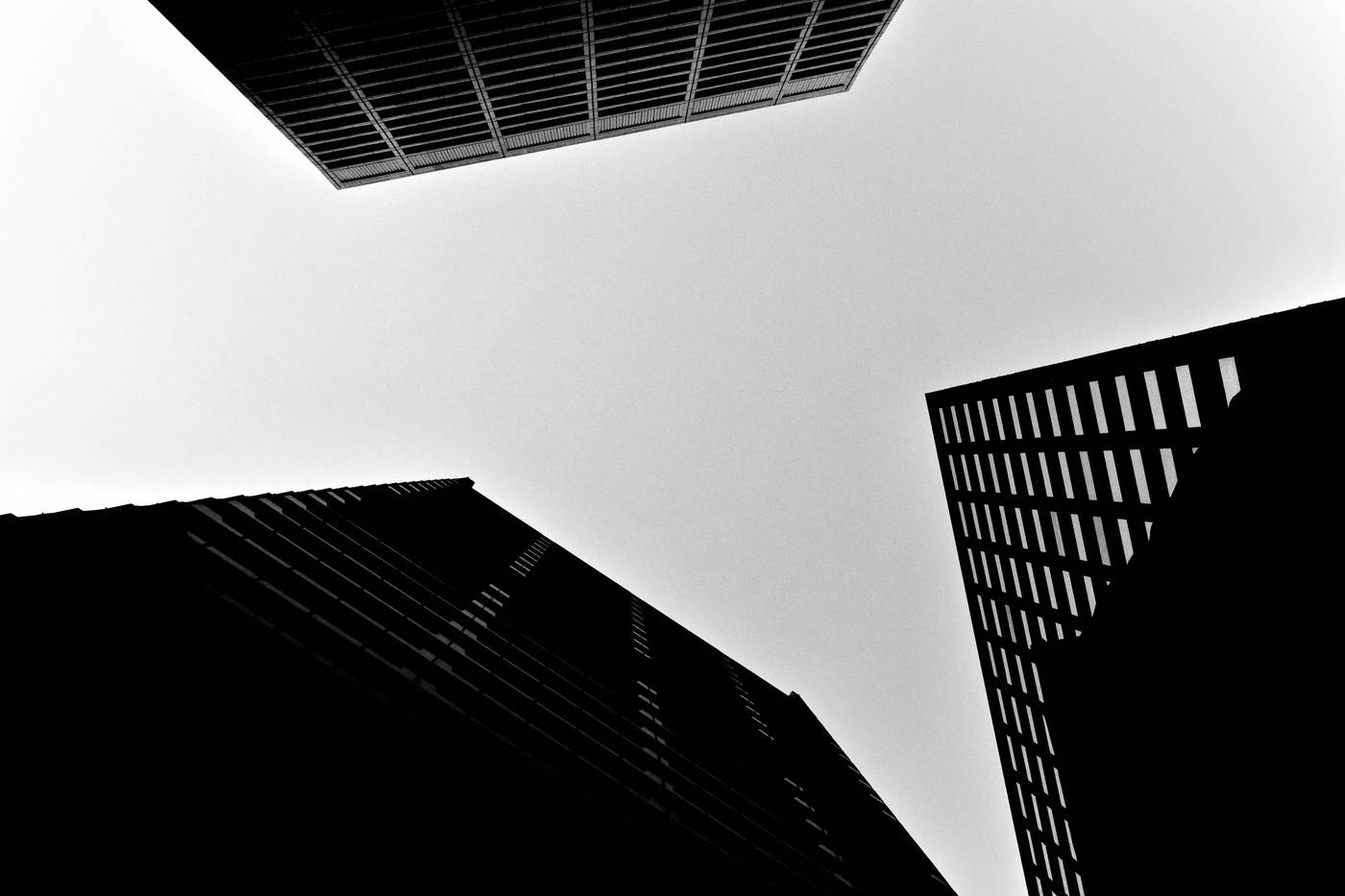 Frame 004