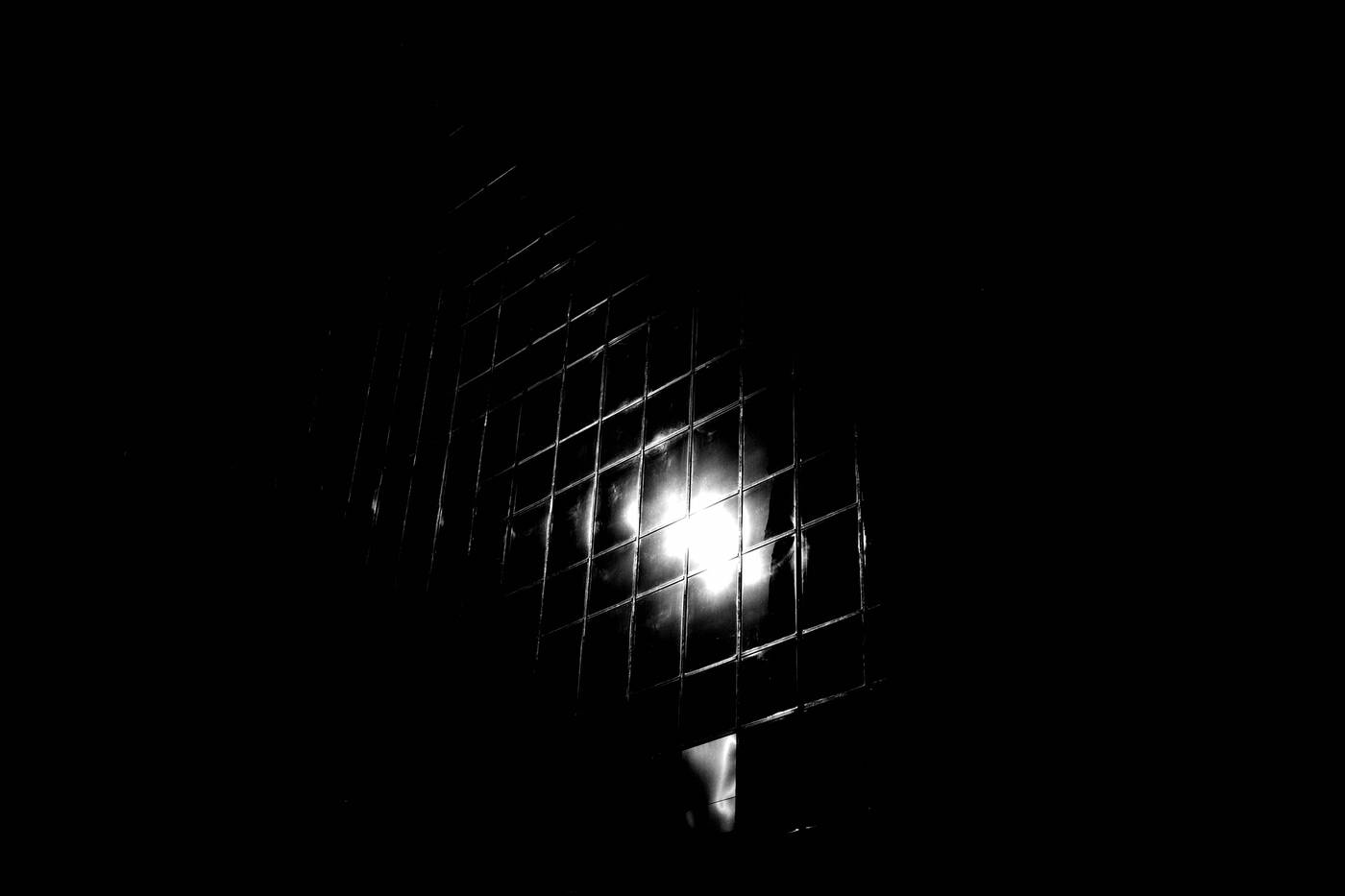 Frame 015