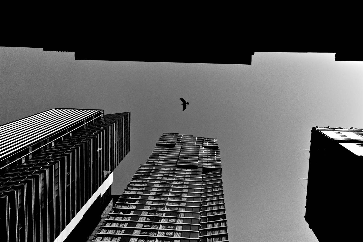 Frame 016