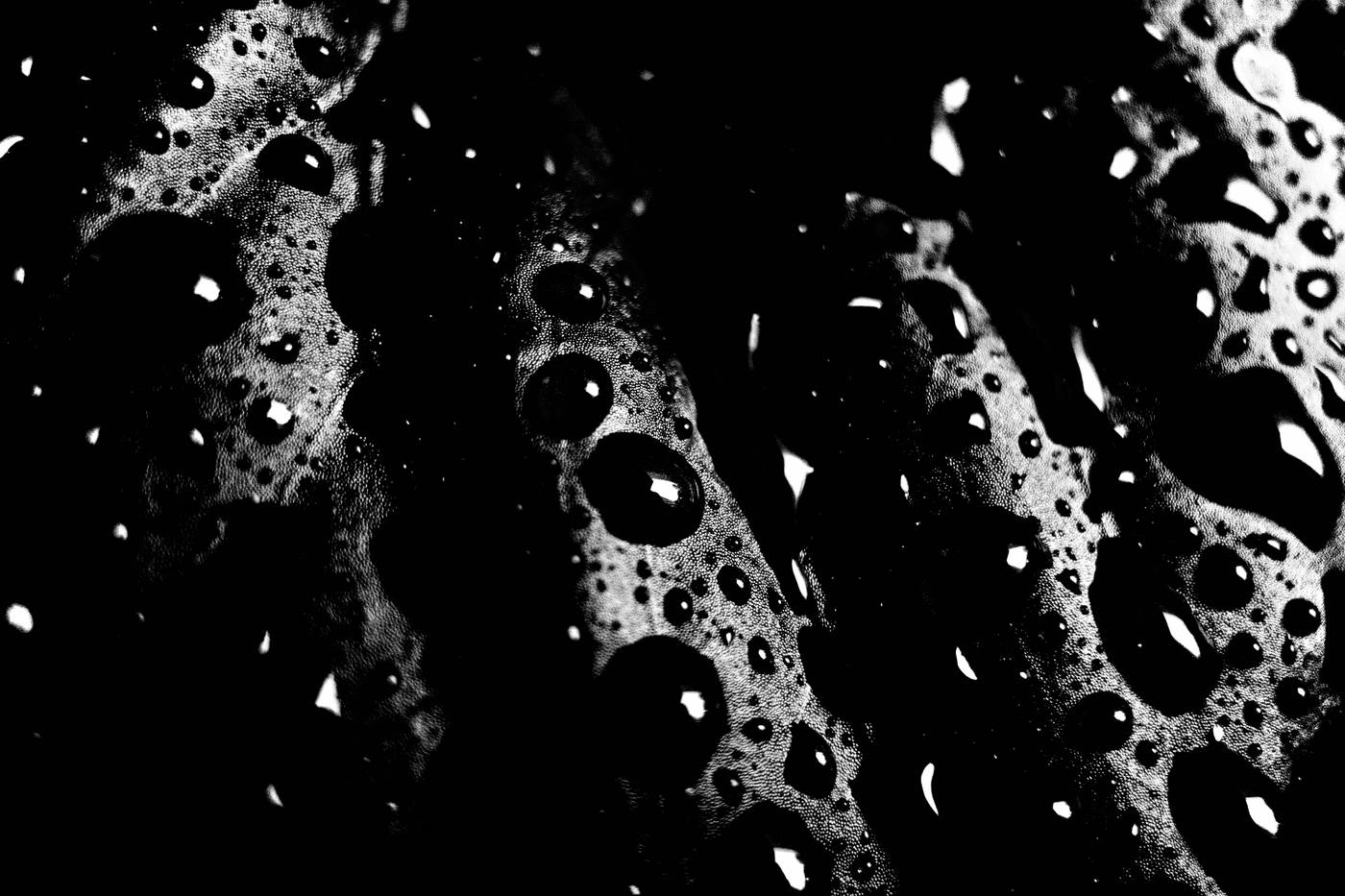 Frame 050