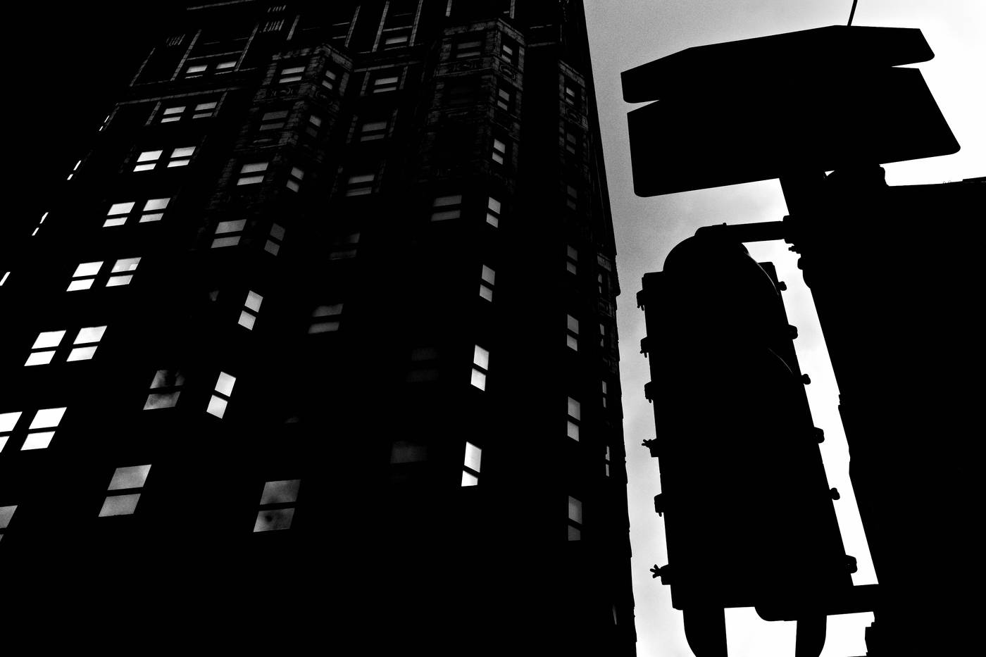 Frame 042