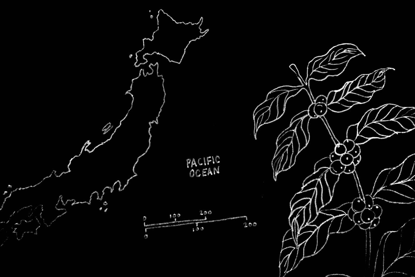 Frame 040