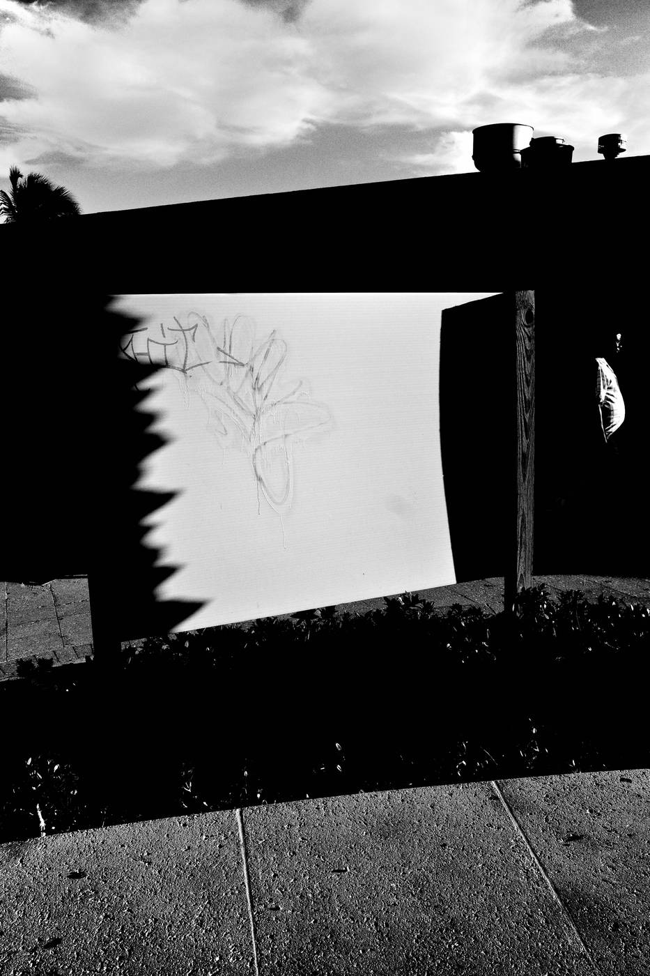 Frame 020