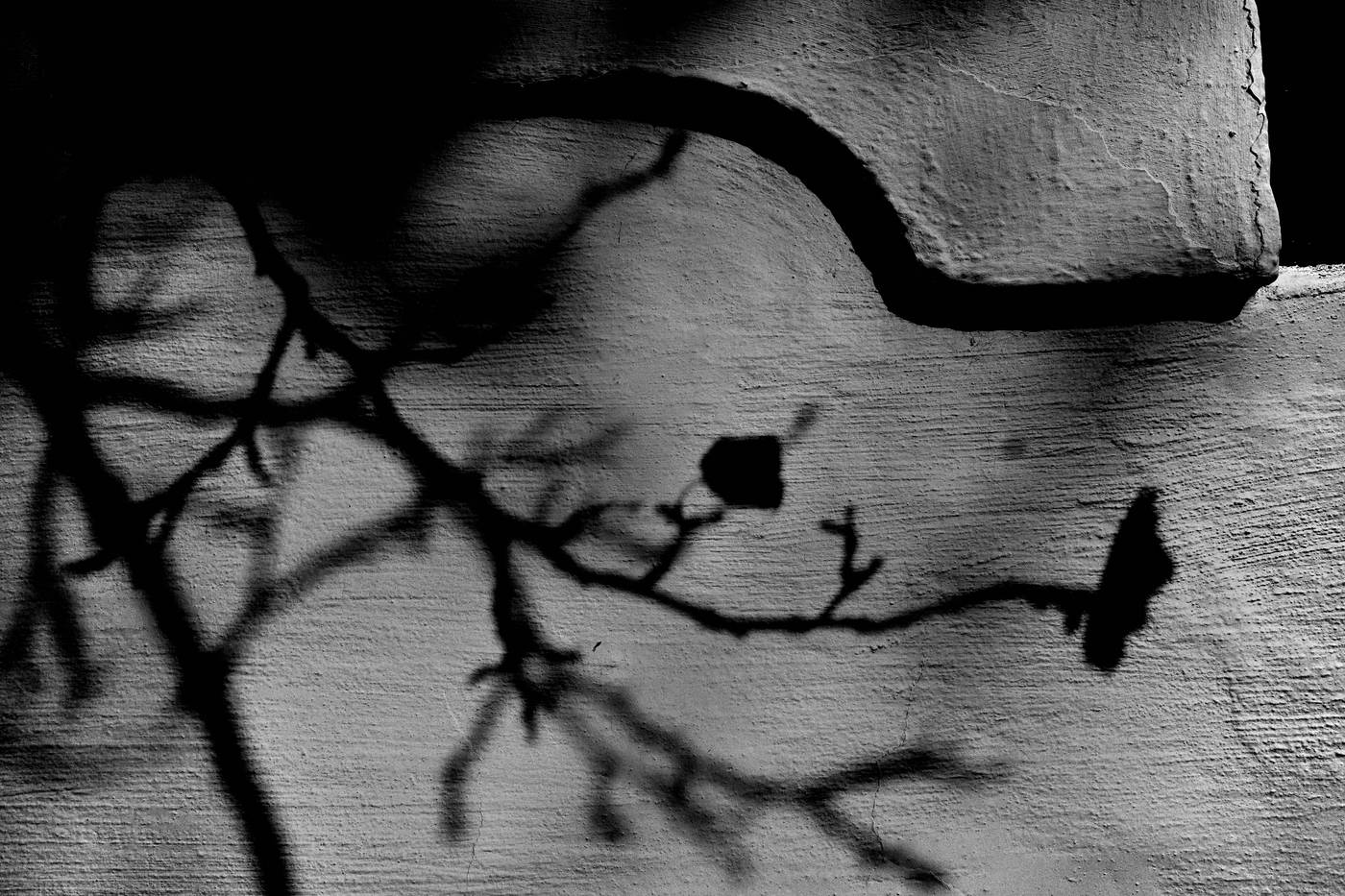 Frame 003