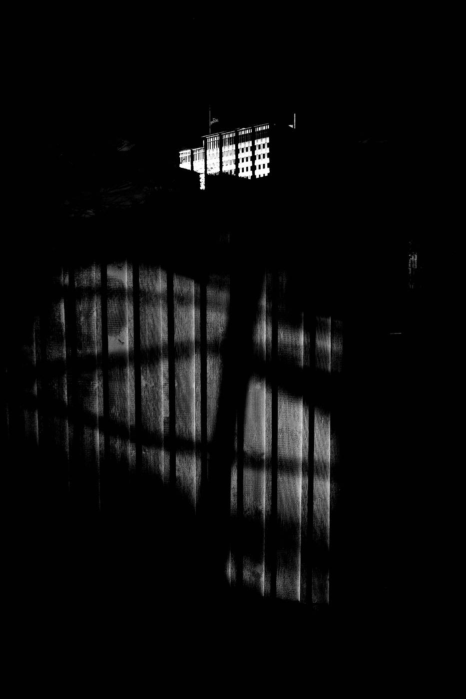 Frame 033