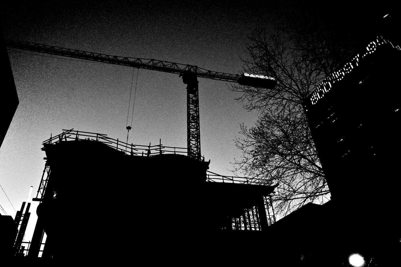Frame 031