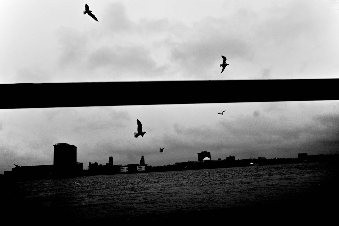 Frame 007