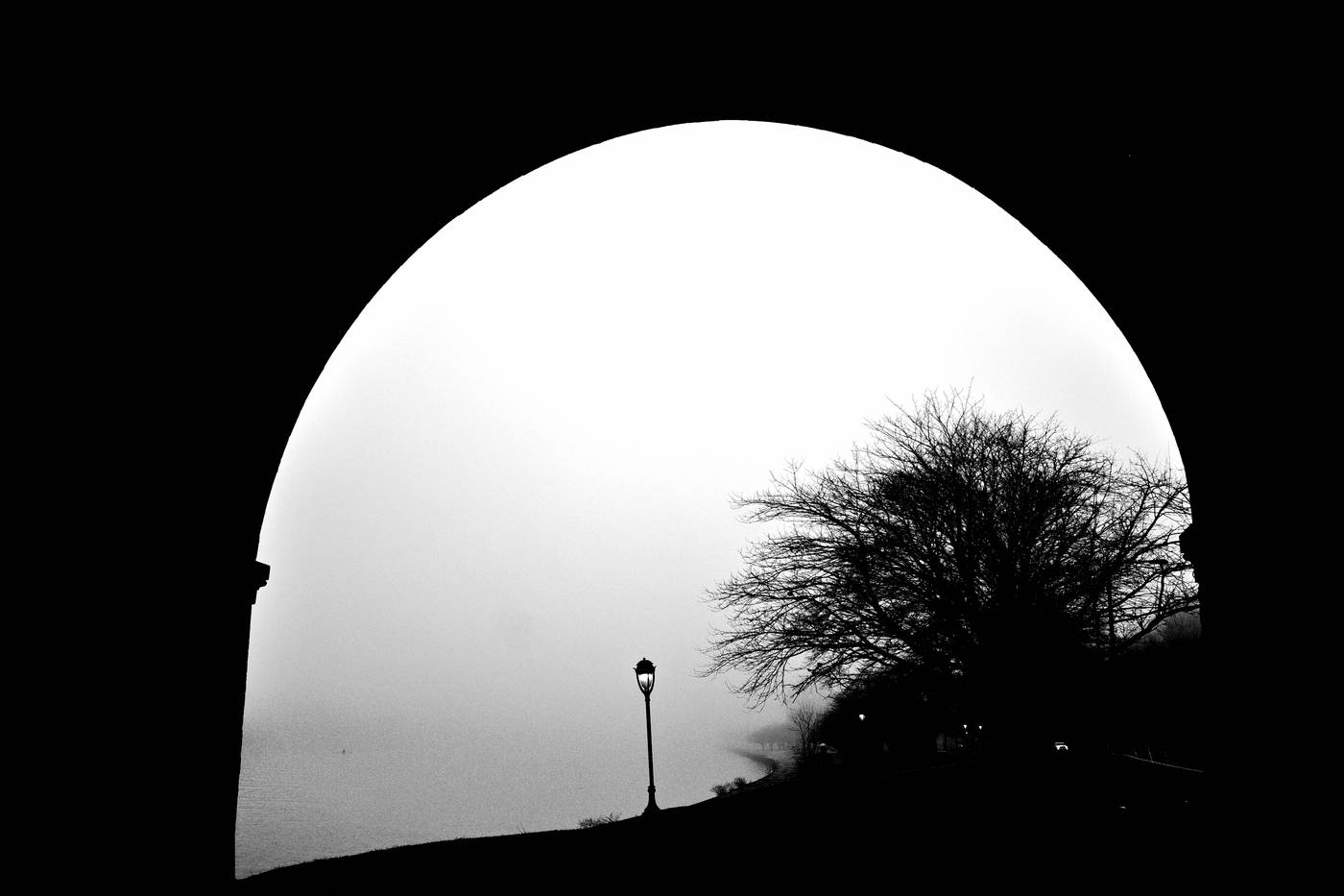Frame 031