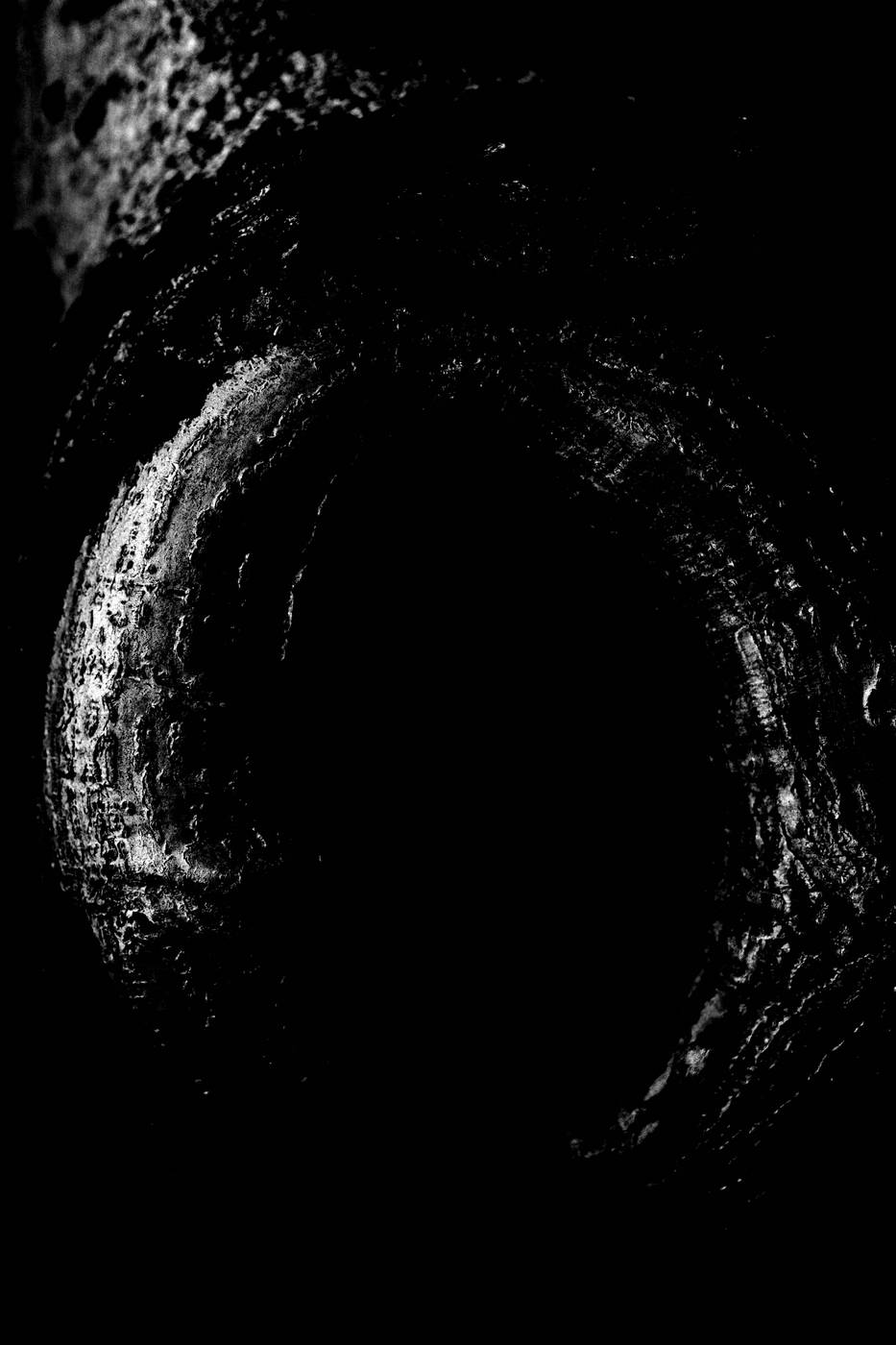 Frame 047