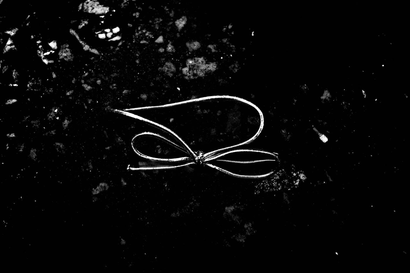 Frame 016