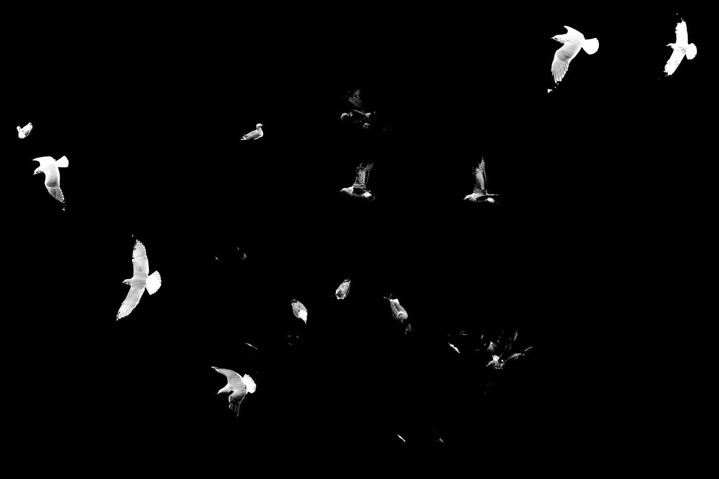 Frame 044