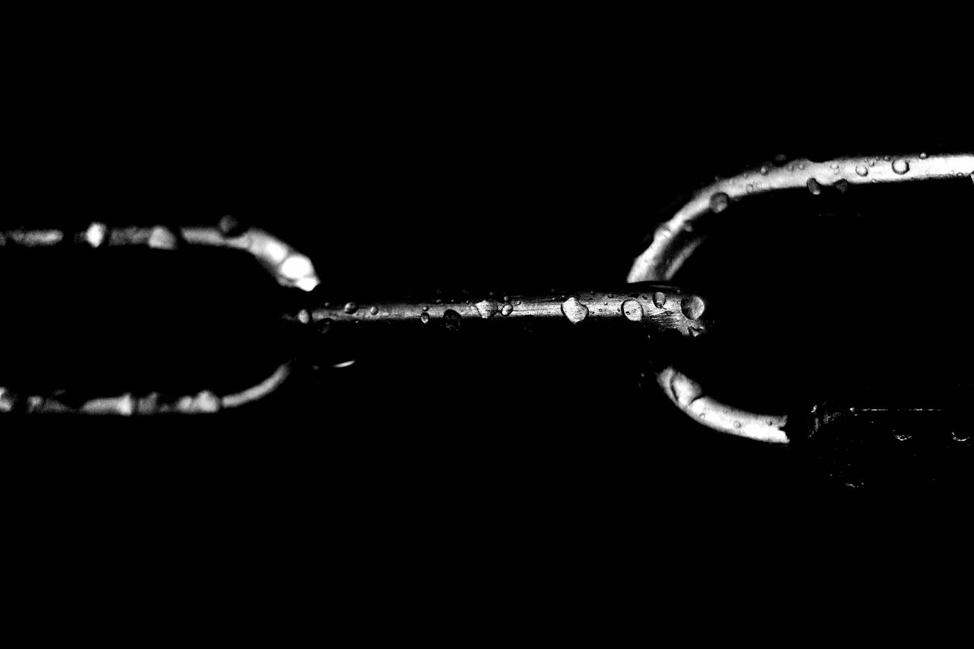 Frame 003