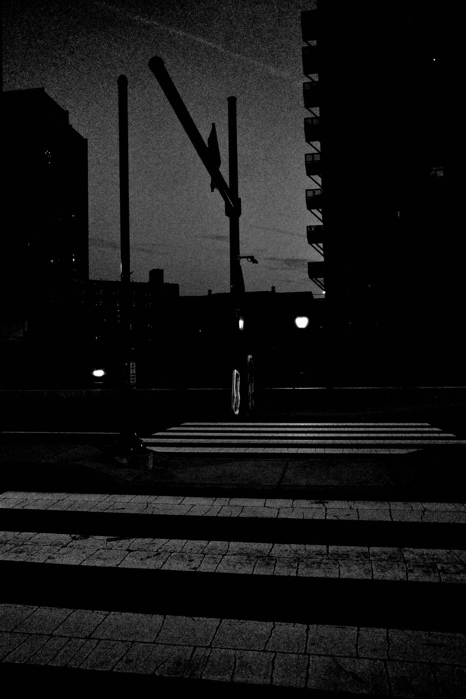 Frame 008