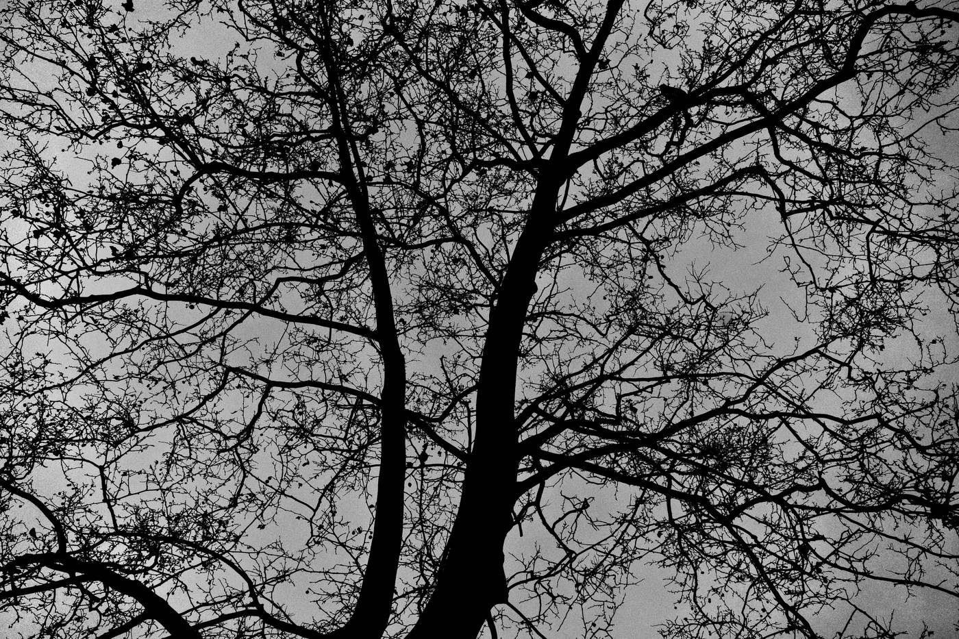 Frame 044