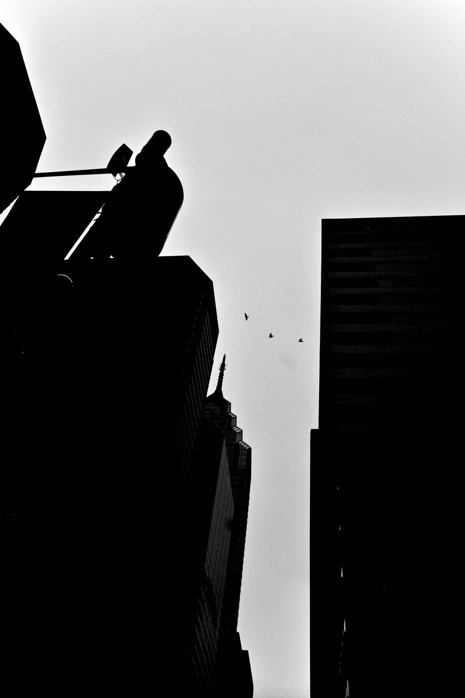 Frame 005