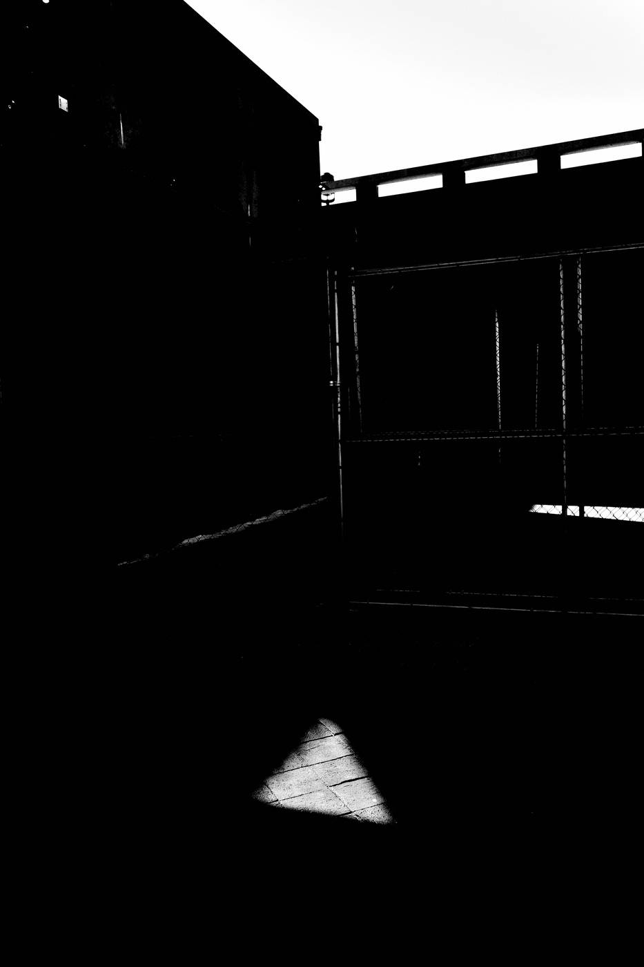 Frame 021