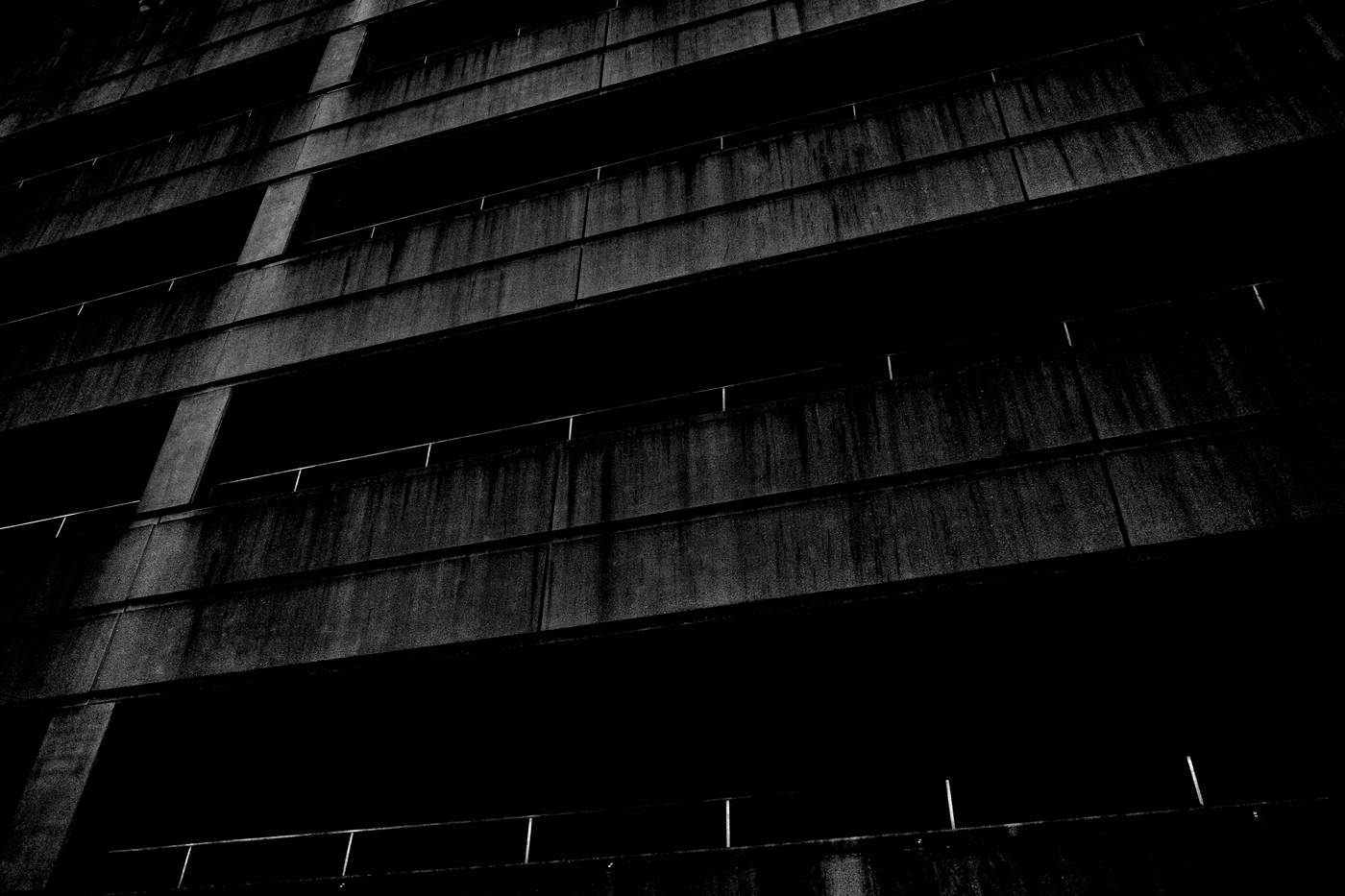 Frame 008