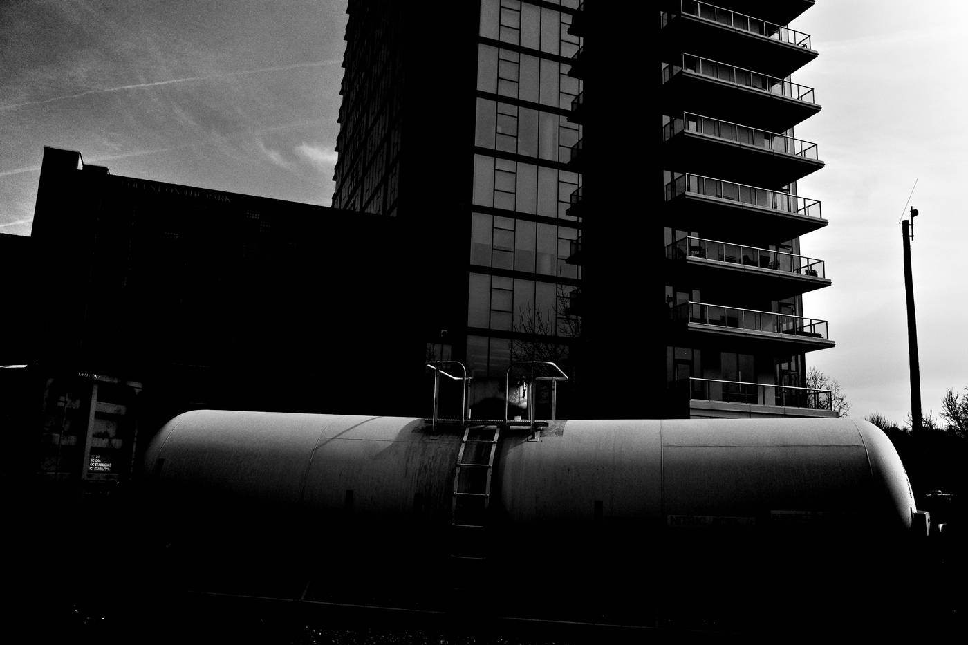 Frame 050
