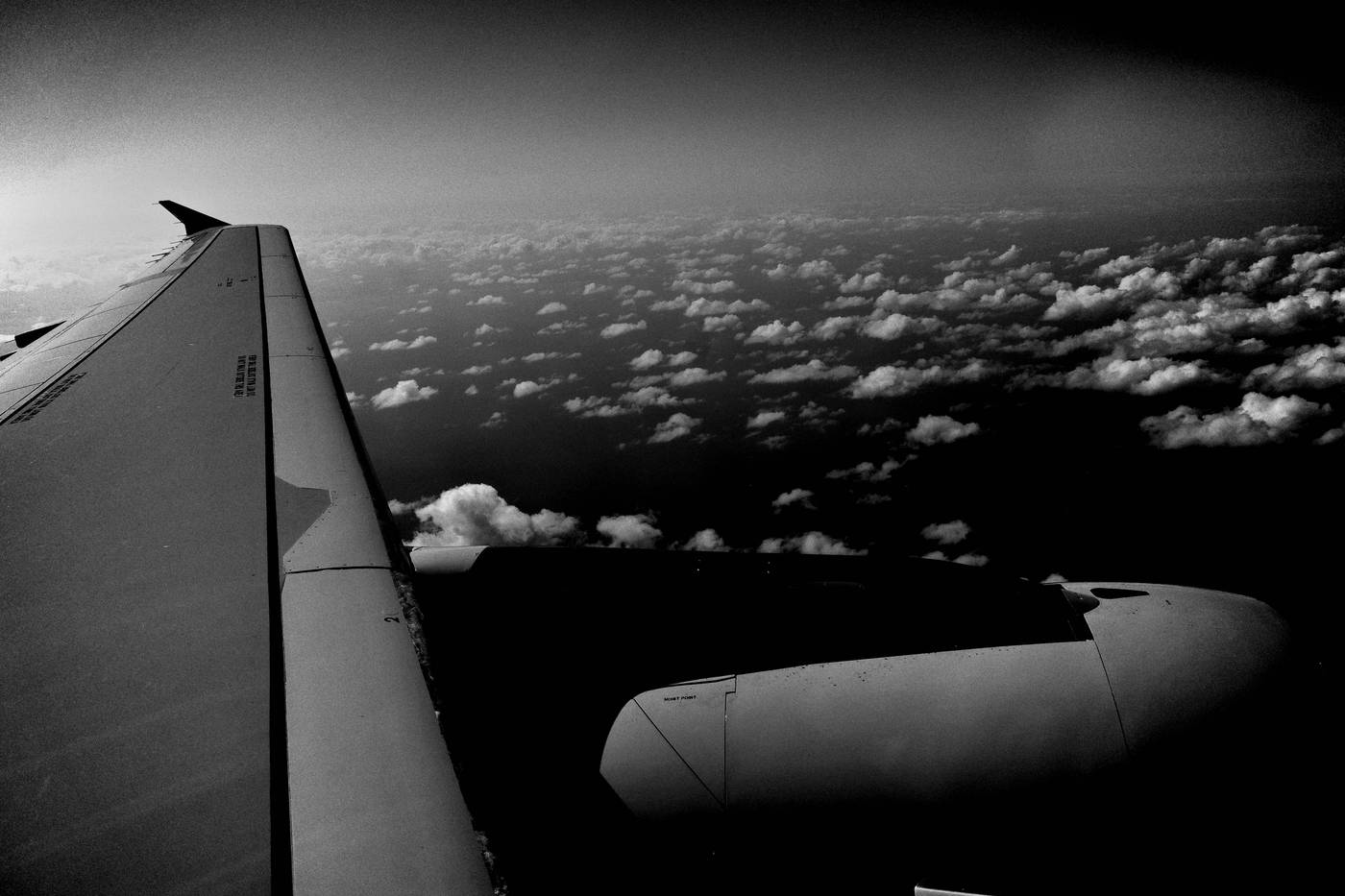 Frame 004