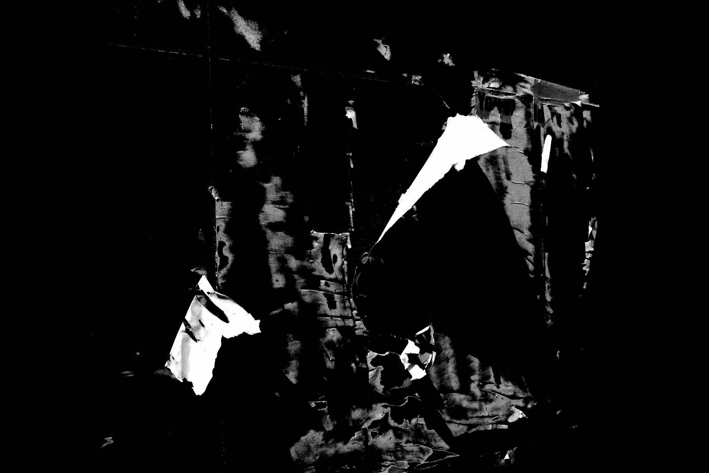 Frame 004