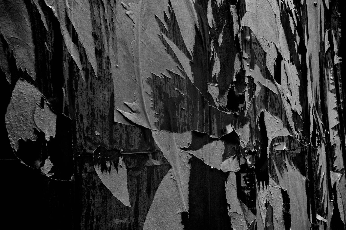 Frame 005