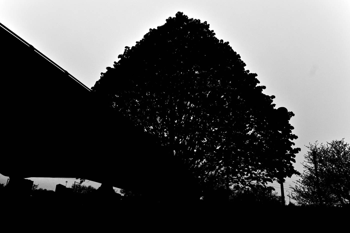 Frame 018