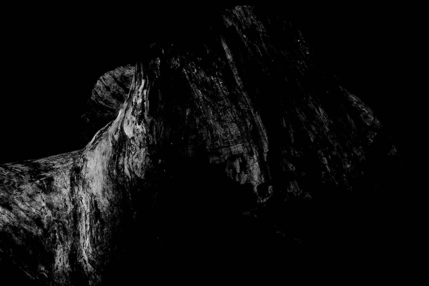 Frame 005