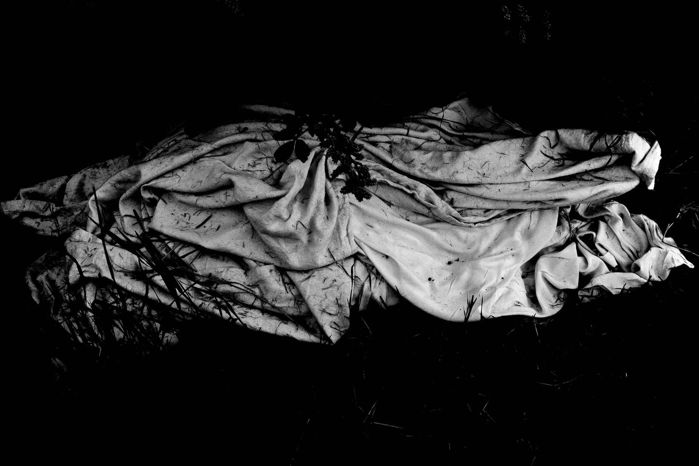 Frame 003