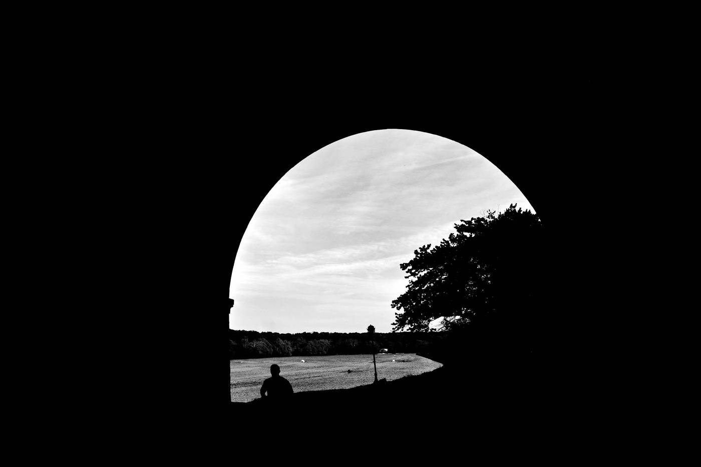 Frame 006