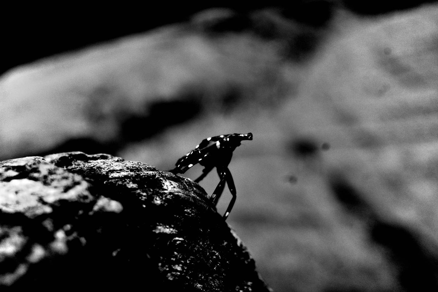 Frame 011