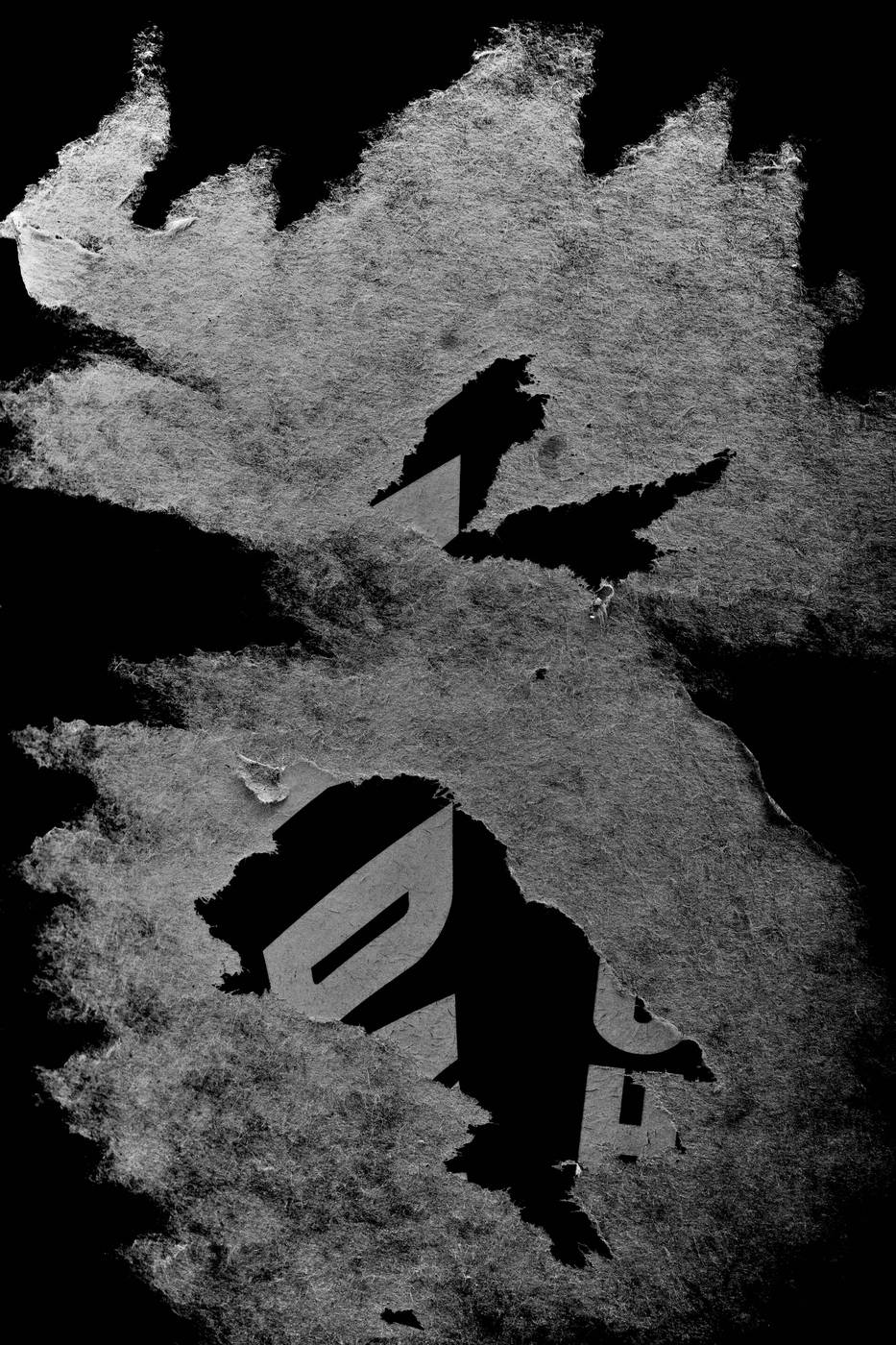 Frame 007