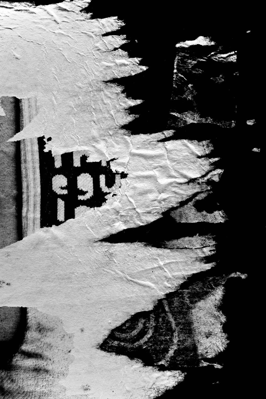 Frame 015
