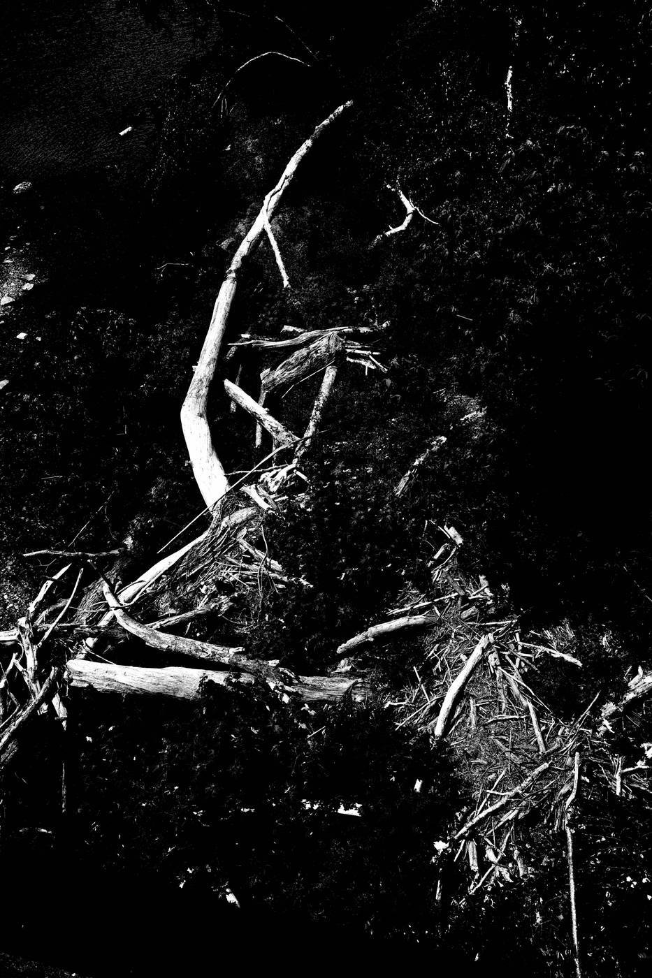 Frame 002