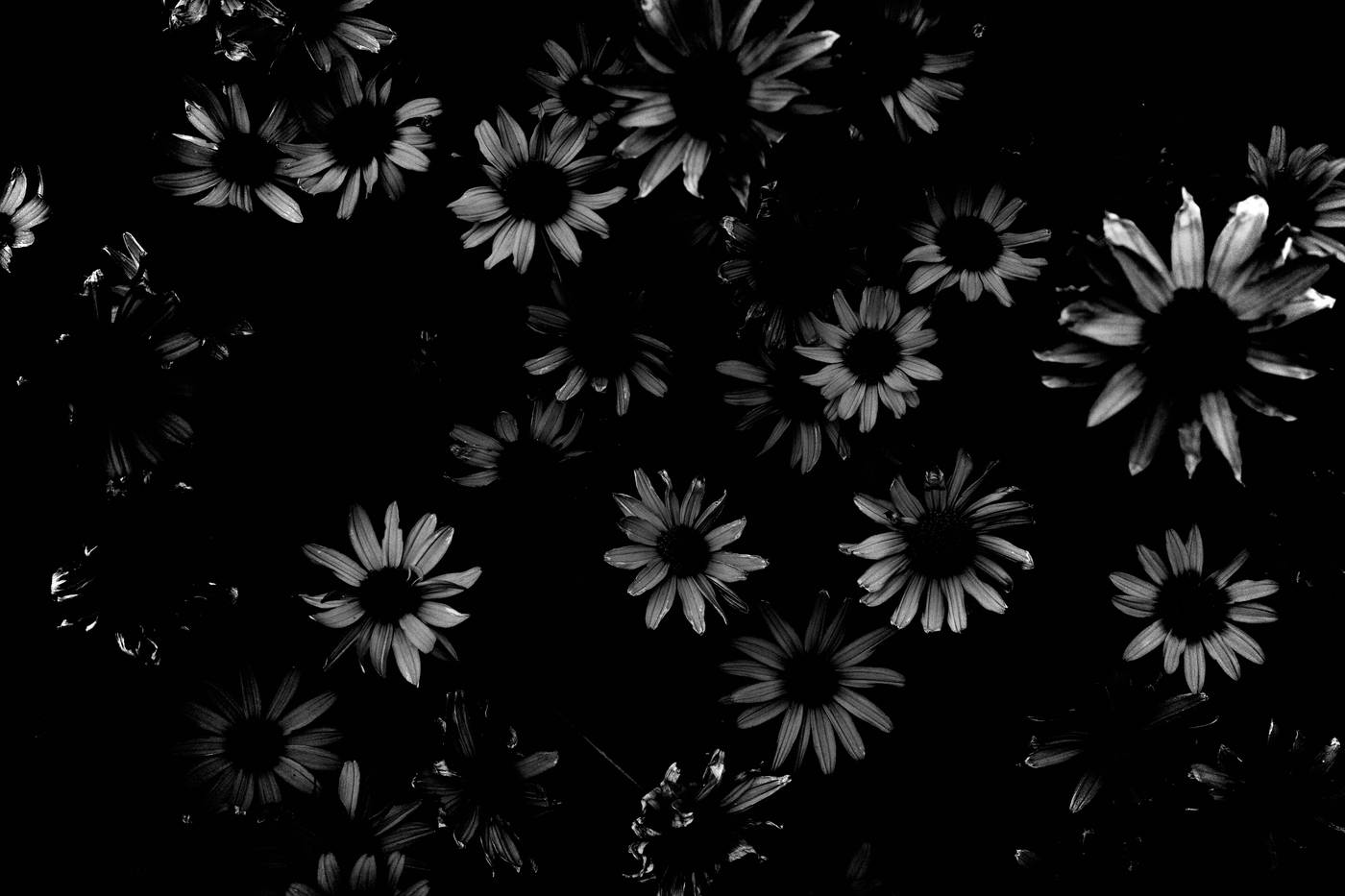 Frame 028