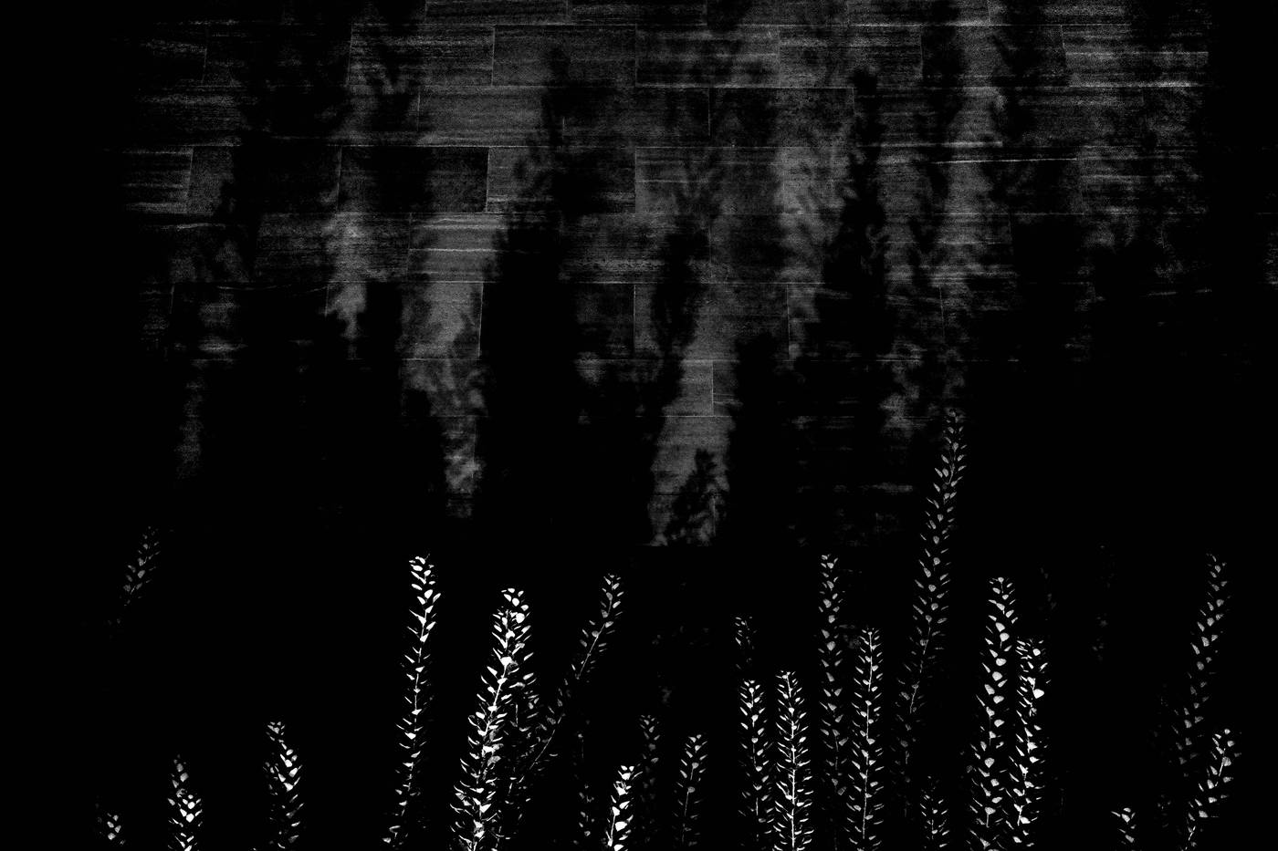 Frame 006