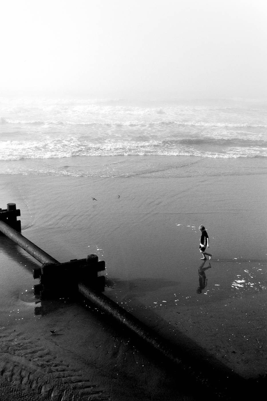Frame 020