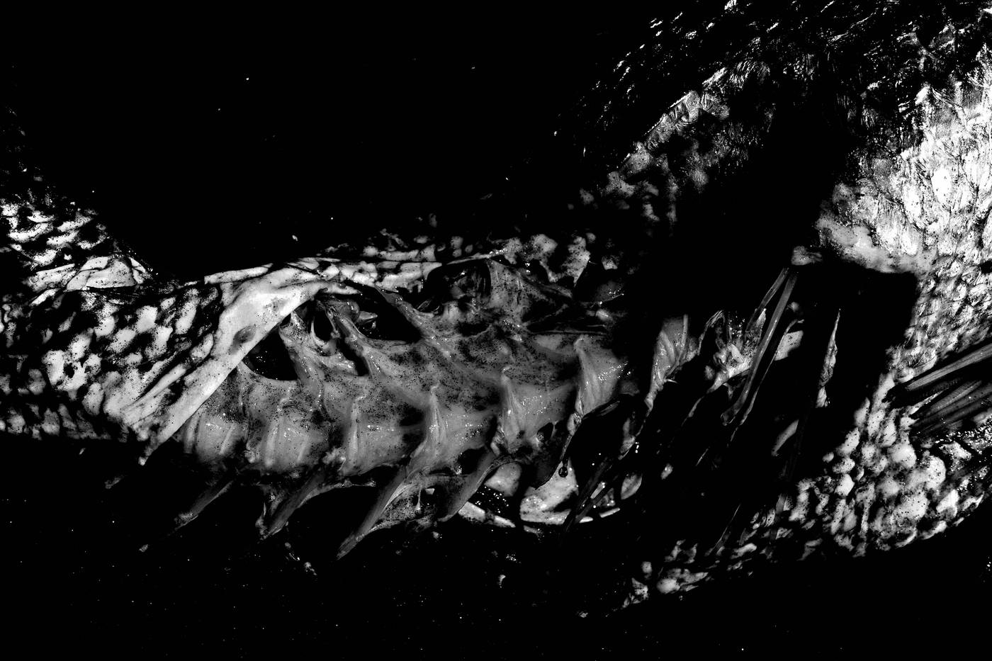 Frame 006