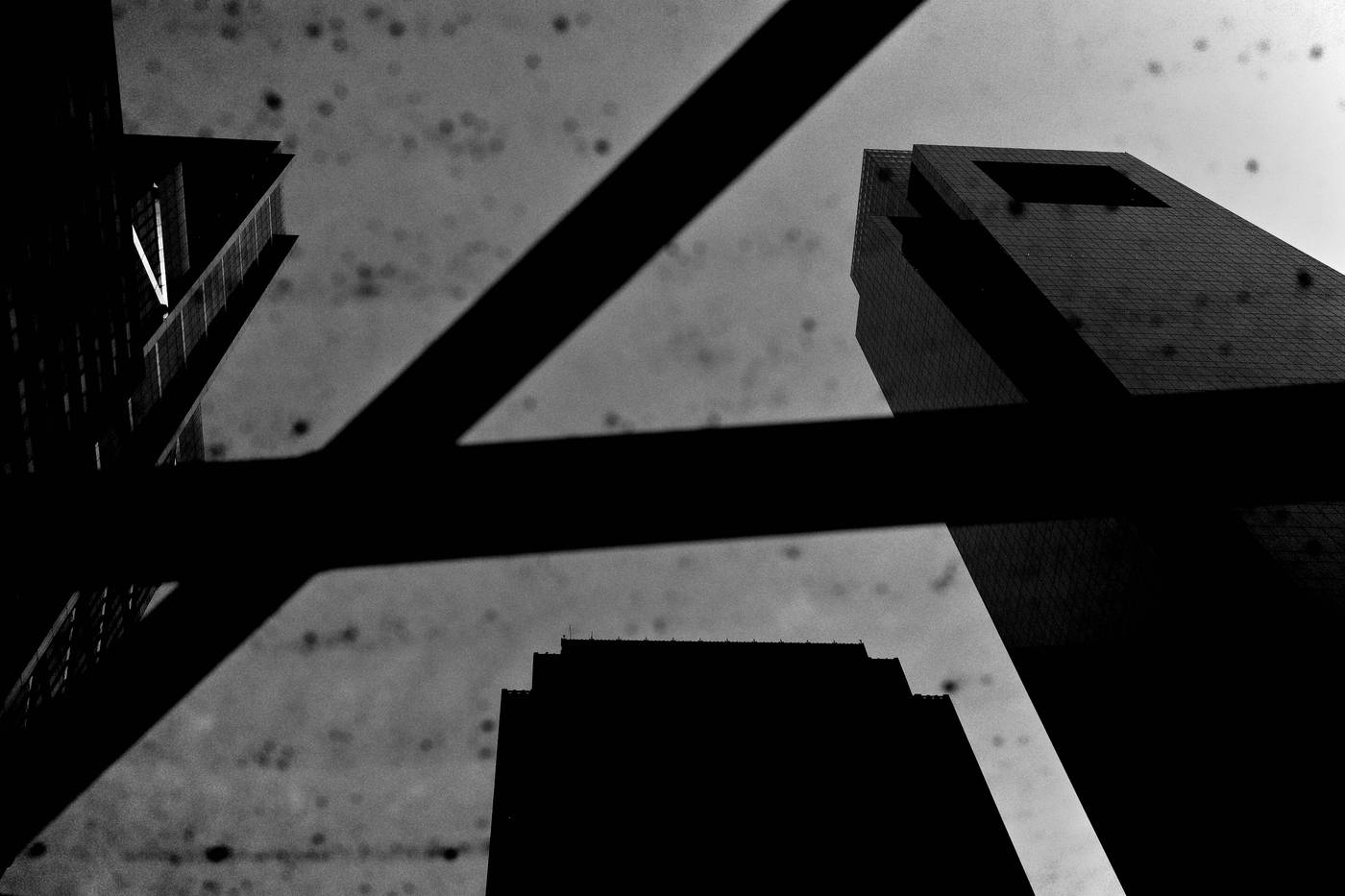 Frame 009