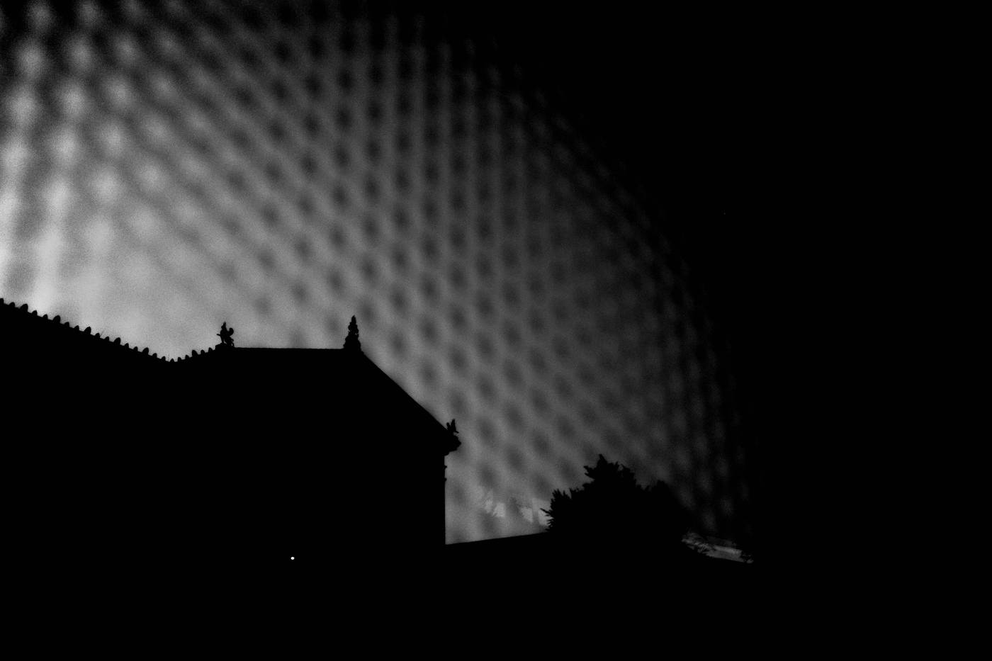 Frame 010