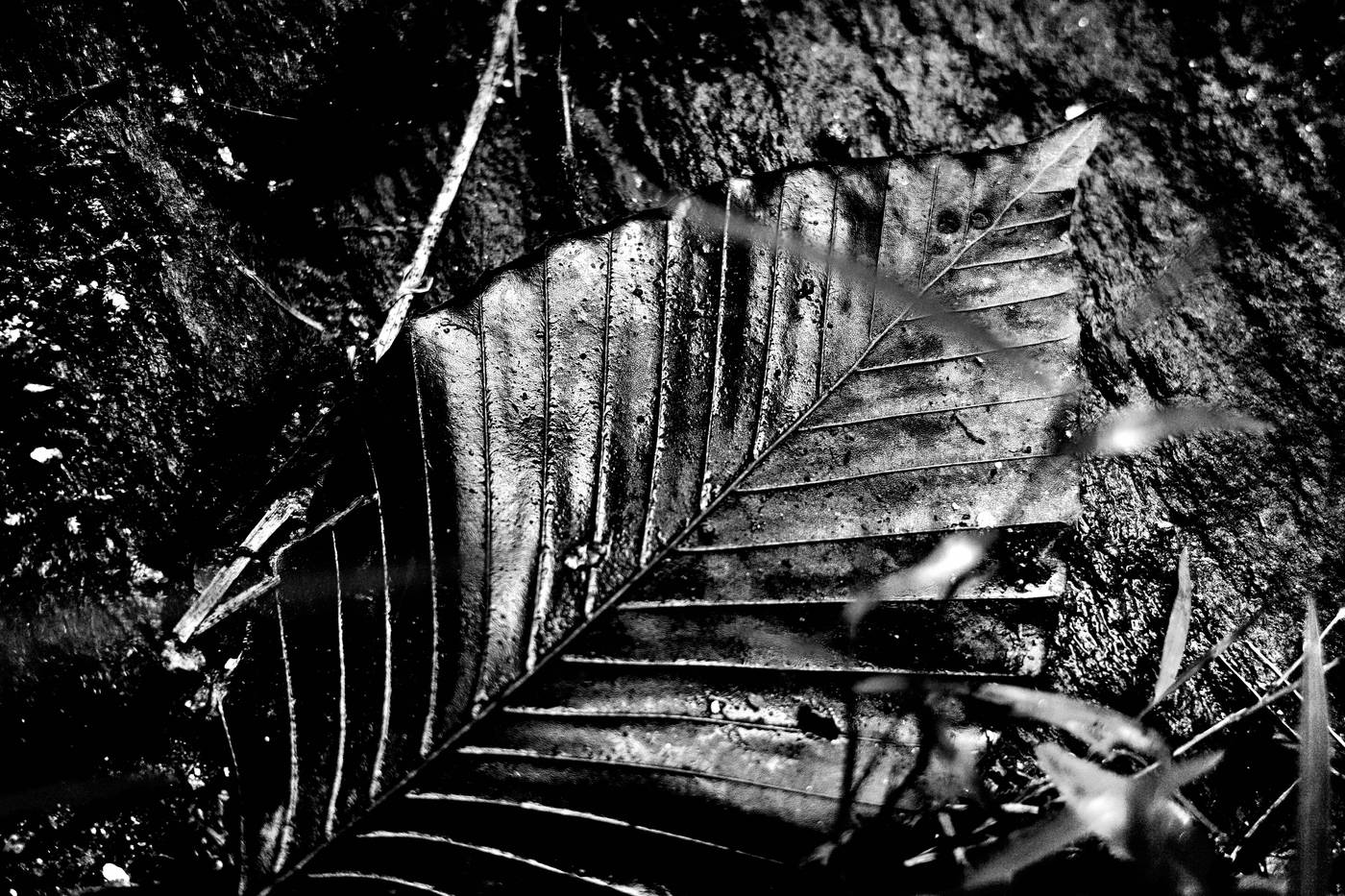 Frame 021