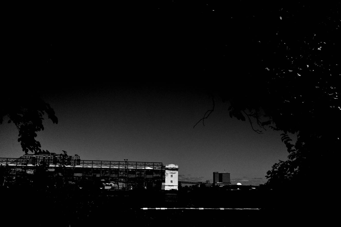 Frame 020