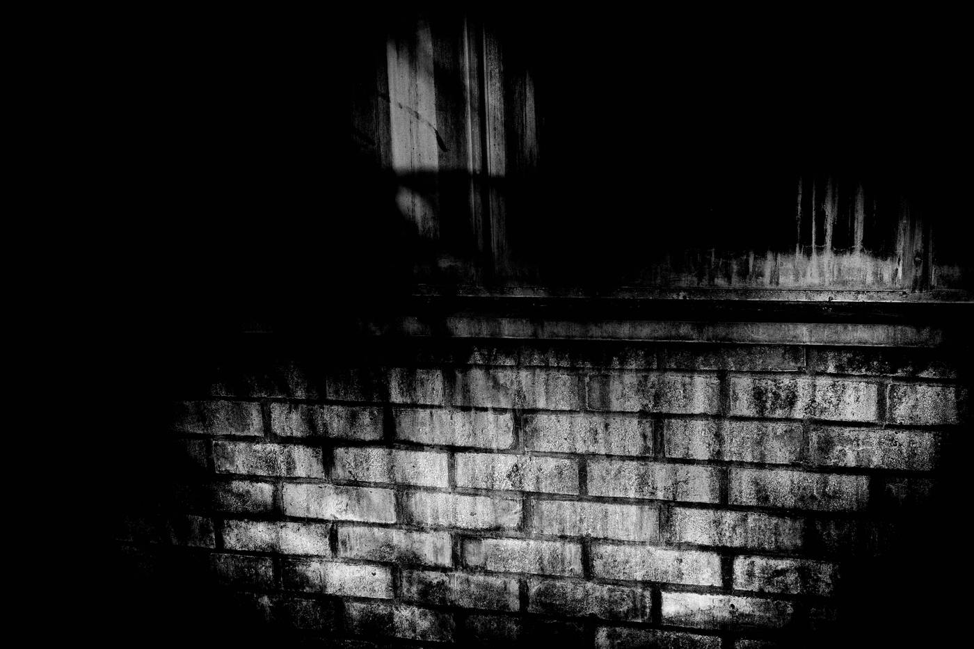Frame 005