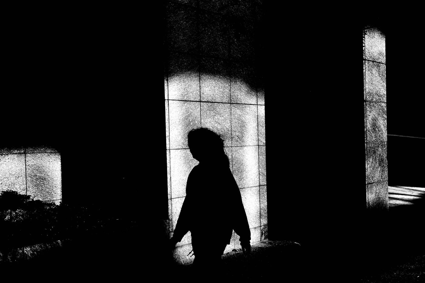Frame 003